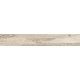 Купить в СПб SP01 19,4x120x10 Неполированный