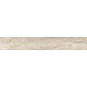 Купить в СПб SP01 19,4x120x10 Неполированный