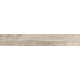 Купить в СПб SP01 19,4x120x10 Неполированный