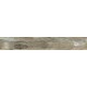 Купить в СПб SP03 19,4x120x10 Неполированный