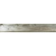 Купить в СПб SP03 19,4x120x10 Неполированный