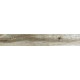 Купить в СПб SP03 19,4x120x10 Неполированный