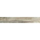 Купить в СПб SP03 19,4x120x10 Неполированный