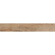 Купить в СПб SP04 19,4x120x10 Неполированный