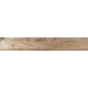 Купить в СПб SP04 19,4x120x10 Неполированный