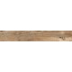 Купить в СПб SP04 19,4x120x10 Неполированный