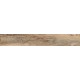 Купить в СПб SP04 19,4x120x10 Неполированный