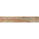Купить в СПб SP04 19,4x120x10 Неполированный