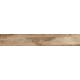Купить в СПб SP04 19,4x120x10 Неполированный