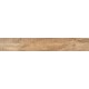 Купить в СПб SP04 19,4x120x10 Неполированный