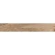 Купить в СПб SP04 19,4x120x10 Неполированный