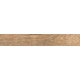 Купить в СПб SP04 19,4x120x10 Неполированный