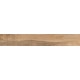Купить в СПб SP04 19,4x120x10 Неполированный