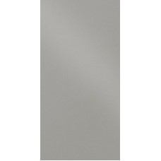 Моноколор (Monocolor) Серый КГ полированный PR 30х60, Керамика Будущего