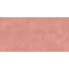 SR05 60x120х10 Неполированный