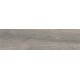 Купить в СПб DW04 14,6x60x8 Неполированный