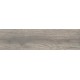 Купить в СПб DW04 14,6x60x8 Неполированный