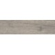 Купить в СПб DW04 14,6x60x8 Неполированный