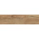 Купить в СПб BG01 14,6x60x8 Неполированный