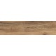 Купить в СПб BG01 14,6x60x8 Неполированный