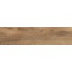 Купить в СПб BG01 14,6x60x8 Неполированный