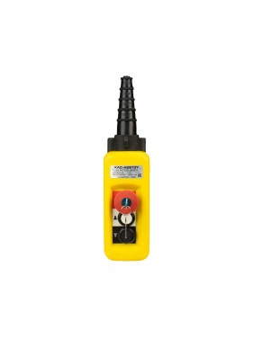 Пульт управления OCALIFT 2 кнопки, 2 скорости, стоп, ключ, IP55 A2913Y COPP-A2913Y