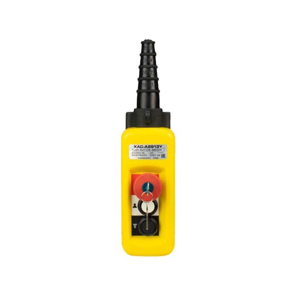 Пульт управления OCALIFT 2 кнопки, 2 скорости, стоп, ключ, IP55 A2913Y COPP-A2913Y Пульт управления OCALIFT 2 кнопки, 2 скорости, стоп, ключ, IP55 A2913Y COPP-A2913Y