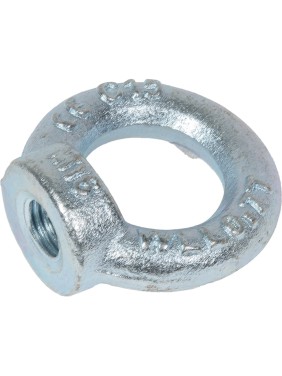 Рым-гайка STARFIX М16, DIN 582 SMP-56034-1