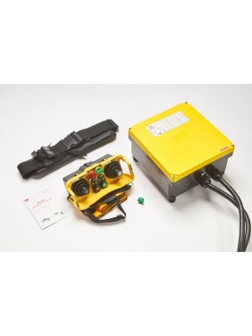 Комплект радиоуправления SAGA1, SAGA-L40 (N) PLL 2 пяти-ступенчатых джойстика R1001010
