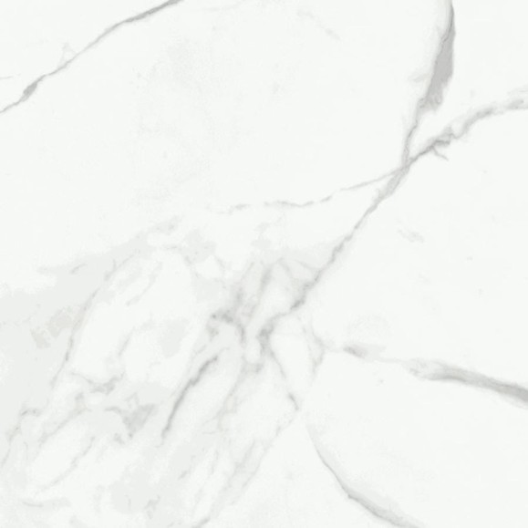 Керамогранит Primavera Dalim white 60x60 см (NR104) 54638