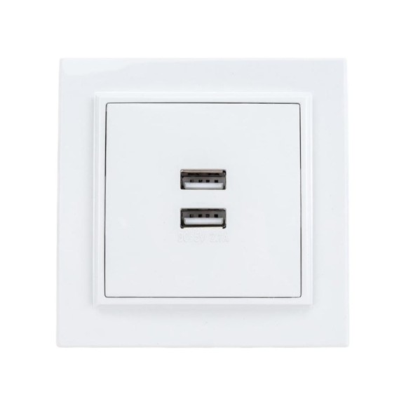 Розетка EKF USB Минск 2-местная, СП 2, 1А, белая ERR-2USB-100