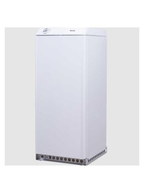 Напольный газовый котел RGA 17K TL (АОГВ) 2210362 4603027001461