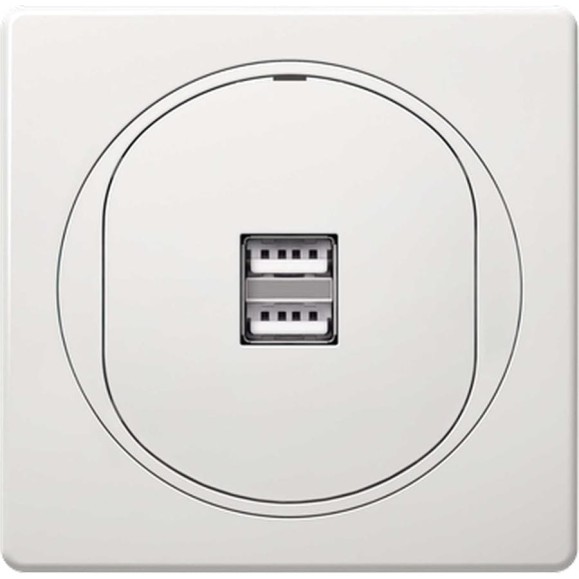 Розетка Aling-Conel EON USB-зарядное устройство, двойная 2xUSB А+А 250V/5V 2.1A, белая E6161.00