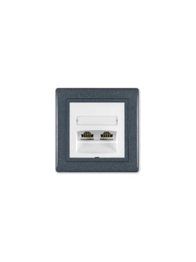 Компьютерная двойная розетка с Keystone модулями Aling-conel PRESTIGE 2хRJ45 кат.5e FTP графит-графит-белый арт. 614S.220
