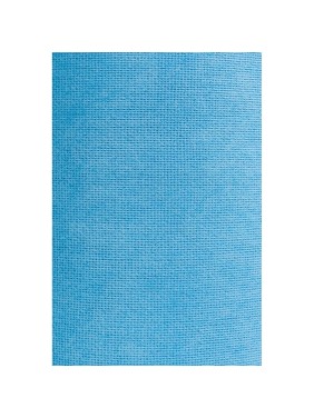 Нетканый материал для интенсивной очистки Higen Pw80 blue light синий,300/380мм, 300лст. рул 7787L