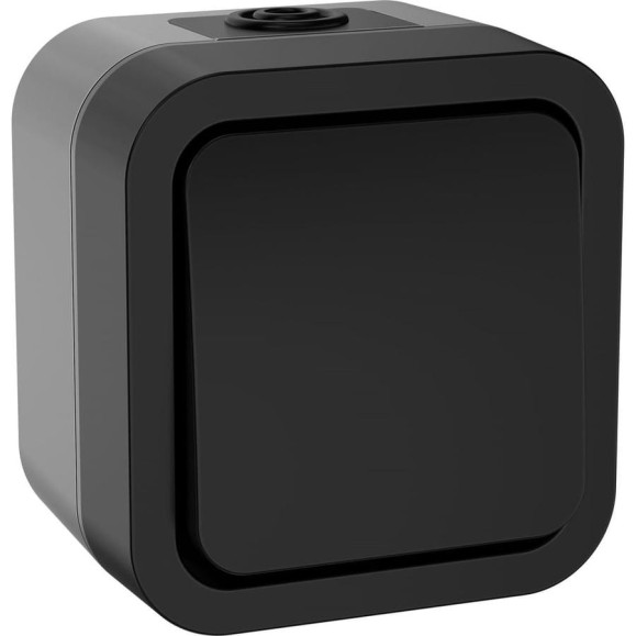 Переключатель одноклавишный IEK Tors 10а ip55 ts101 графит TS-V10-0-10-55-K53