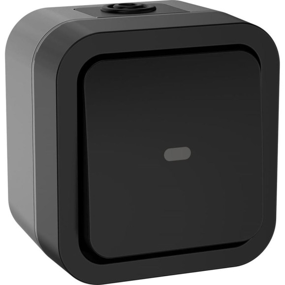 Переключатель одноклавишный IEK Tors с индикацией 10а ip55 ts102 графит TS-V10-1-10-55-K53