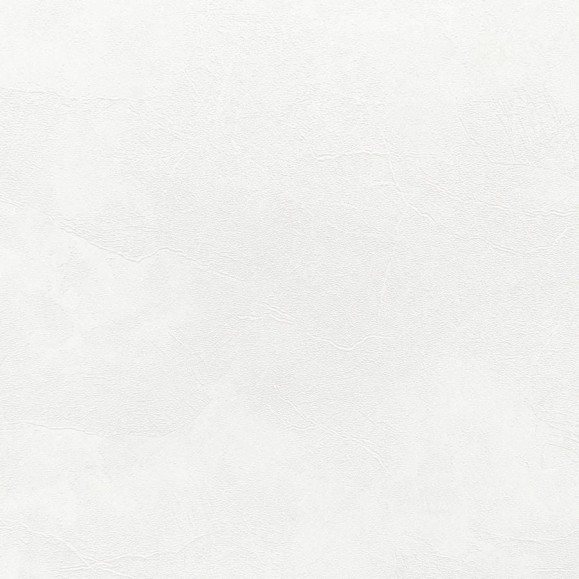 Обои на флизелиновой основе Erismann Profi Deco Veter, 1.06x10.05 м 60560-01