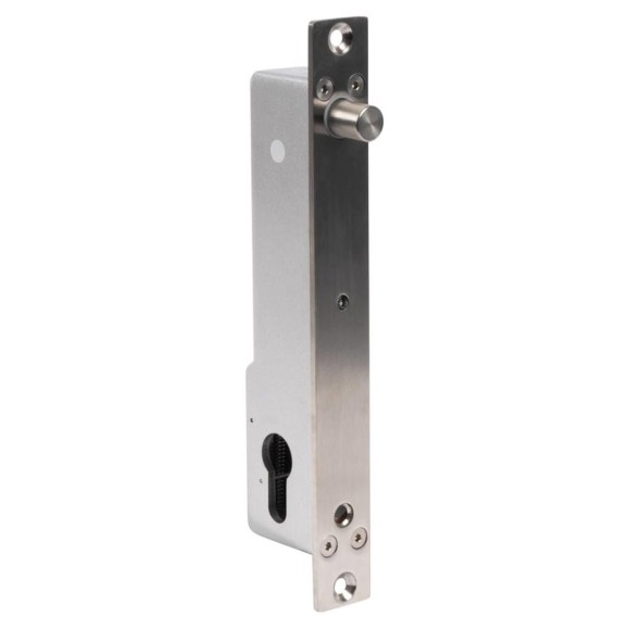 Врезной электромеханический замок Бастион SPRUT LOCK-012BL 8864 Врезной электромеханический замок Бастион SPRUT LOCK-012BL 8864
