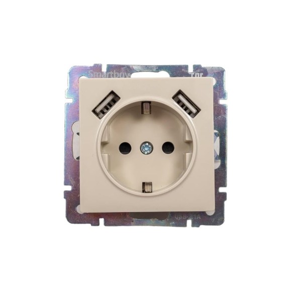 Розетка Smartbuy с заземлением и 2-мя USB 16А бежевая Нептун SBE-05i-16-S1-USB