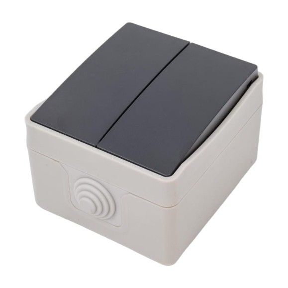 Выключатель двухклавишный ARTSUN накладной PRO SW 10-2-W/B