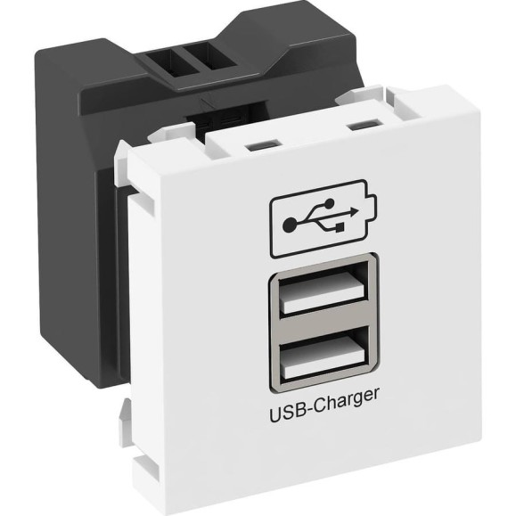 Розетка USB тип А двойная OBO Bettermann (1x2100 mA или 2x1050 mA) 1 модуль Modul45, 45x45 мм, белая 6105300
