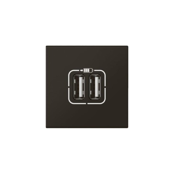 Розетка двойная USB Legrand программа Mosaic А+А, для зарядки, 2 модуля, матовая черная 079194L