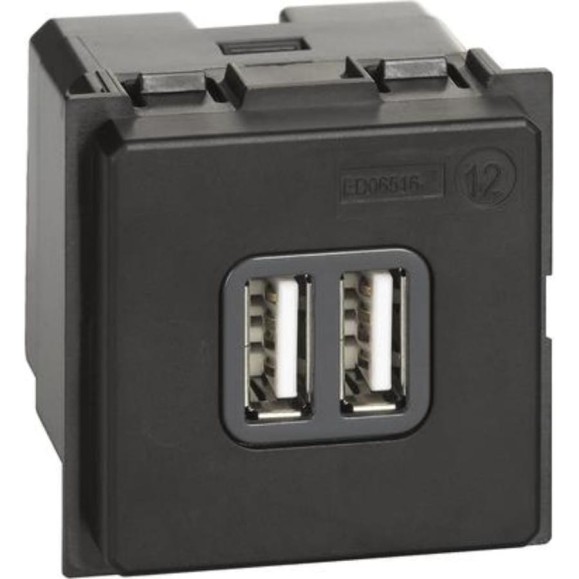 Зарядное устройство Bticino LIVING NOW USB Стандарты А-А 3000мА 2 модуля. K4285C2