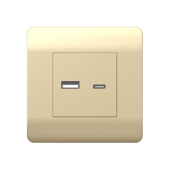Розетка USB CHINT NEW3-E тип A+C 5В/2.1А шампань 431450