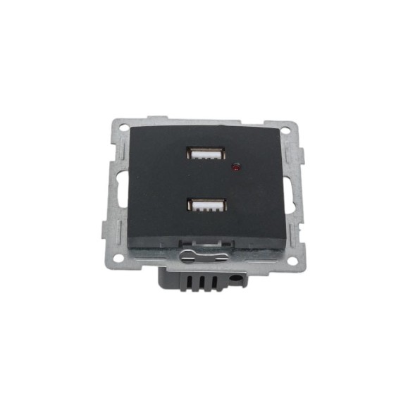 Розетка USB GUSI ELECTRIC Bravo двойная, СУ, графит С10USB2-010