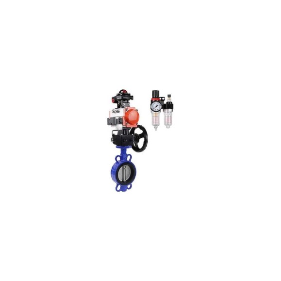 Затвор DN.ru QT450-304-EPDM-2W-Fb-H Ду65 Ру16 LUG пн.привод,пн.распред.,БПВ,БКВ,дублер D050-51432 Затвор DN.ru QT450-304-EPDM-2W-Fb-H Ду65 Ру16 LUG пн.привод,пн.распред.,БПВ,БКВ,дублер D050-51432