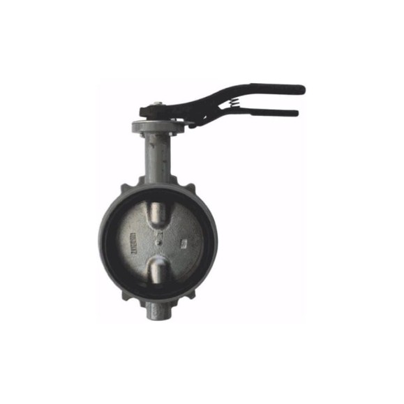 Затвор поворотный Giacomini чугун EPDM Ду300 Ру16 диск чугун R59W R59WX030 107-5444