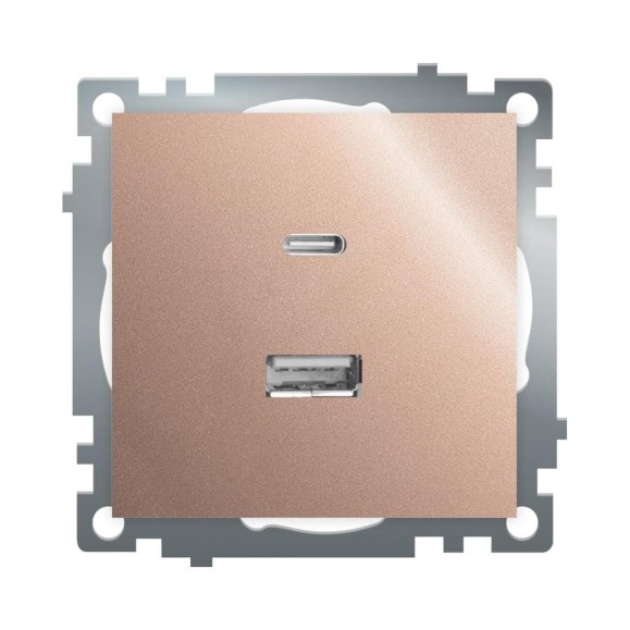 Механизм розетки 2-местной STEKKER USB + type C, GLS10-7116-02, 250B, 3A, max 20W, серия Катрин, шампань, 50056