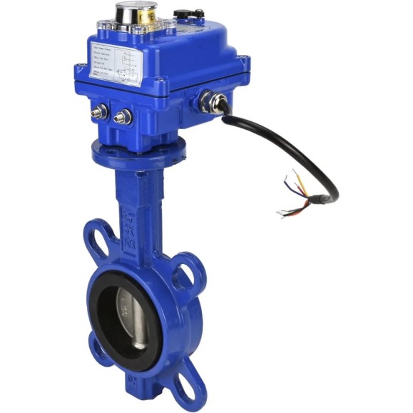 Затвор DN.ru GGG50-316L-EPDM Ду50 Ру16 с электроприводом 003 blue 220В D050-11914